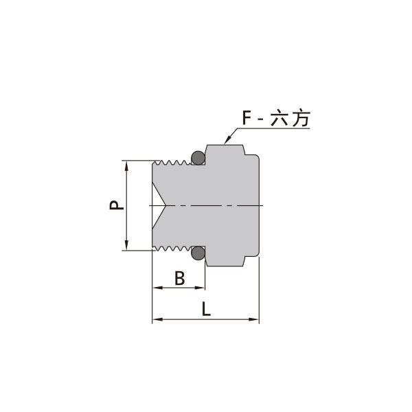 SAE/MS外螺纹堵头