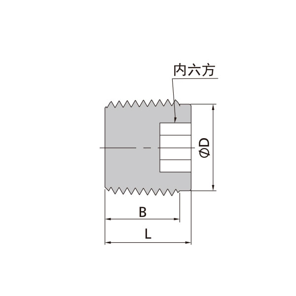 NPT外螺纹内六角堵头