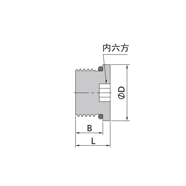 SAE/MS外螺纹内六角堵头