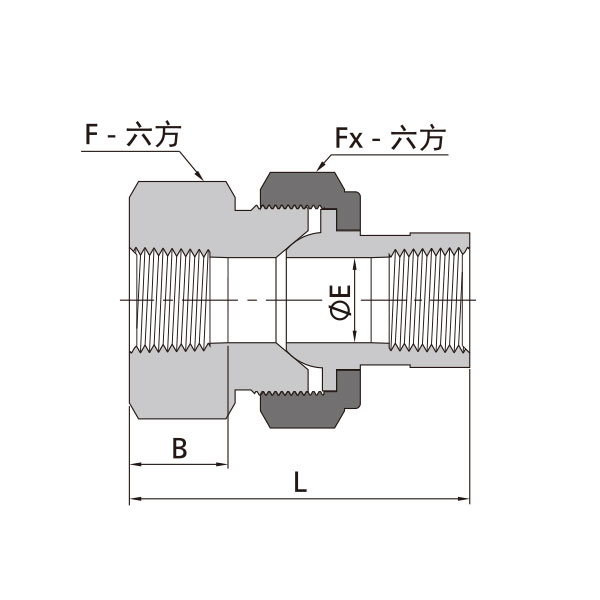 NPT内螺纹活接直通