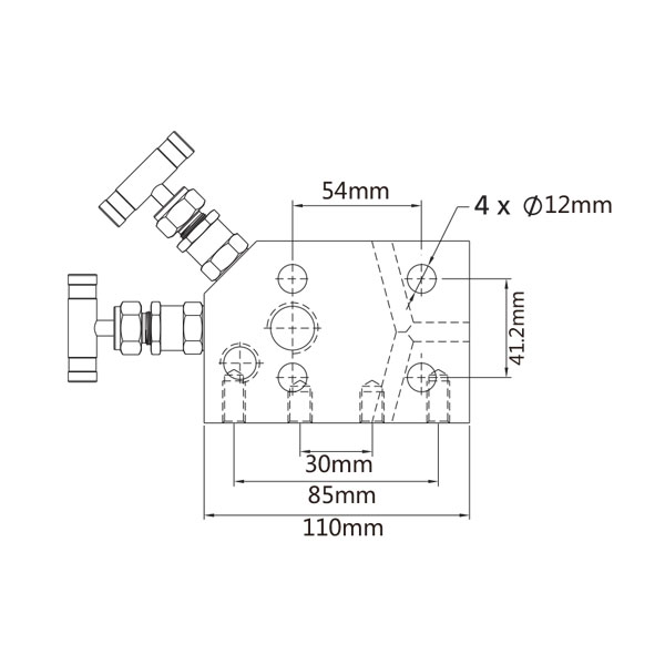 一体式仪表阀组